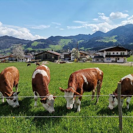Ferienhaus Weberhof ريث ام الباختال المظهر الخارجي الصورة