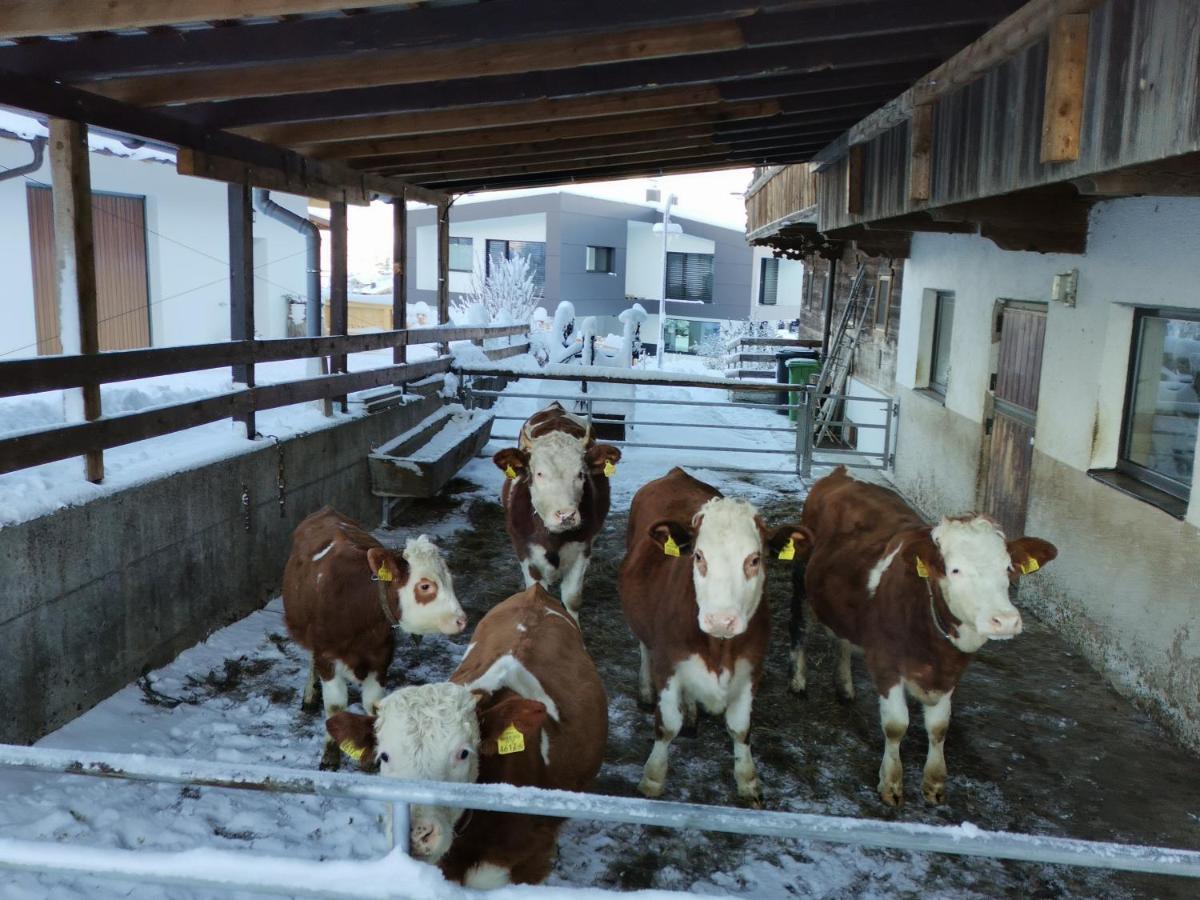 Ferienhaus Weberhof ريث ام الباختال المظهر الخارجي الصورة
