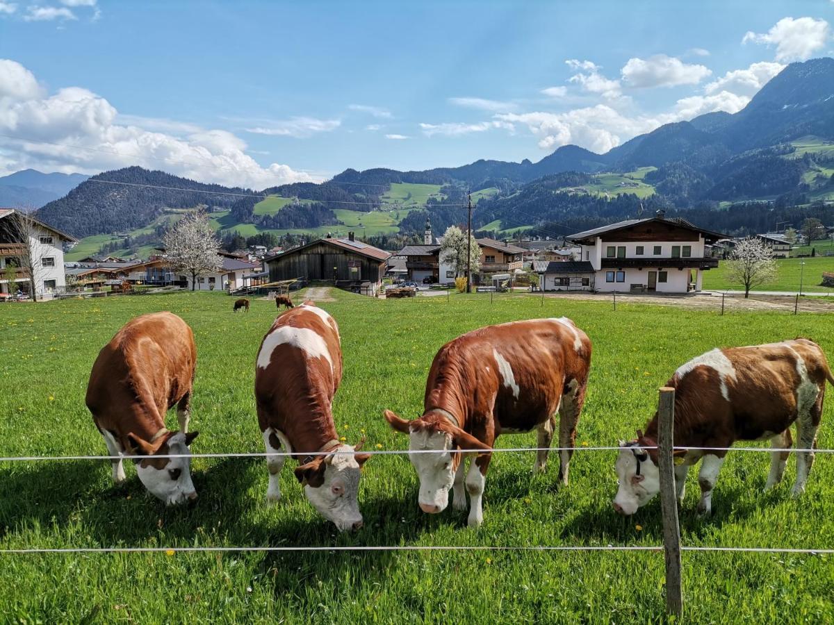 Ferienhaus Weberhof ريث ام الباختال المظهر الخارجي الصورة